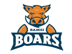 BAMSI Mascot